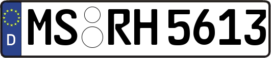 MS-RH5613