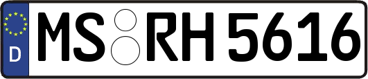 MS-RH5616
