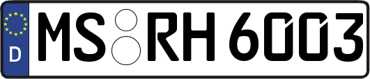MS-RH6003