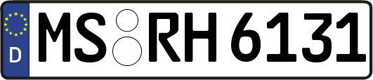 MS-RH6131