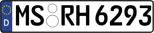 MS-RH6293