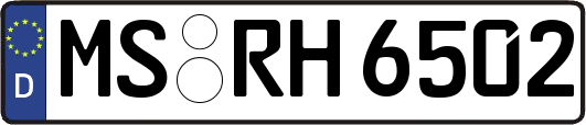 MS-RH6502
