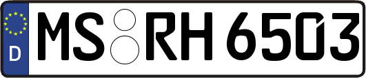 MS-RH6503