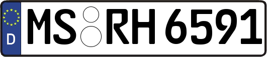 MS-RH6591