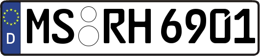 MS-RH6901
