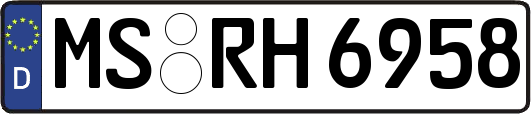 MS-RH6958
