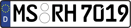 MS-RH7019