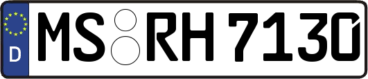 MS-RH7130