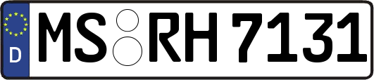 MS-RH7131