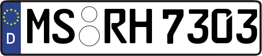MS-RH7303