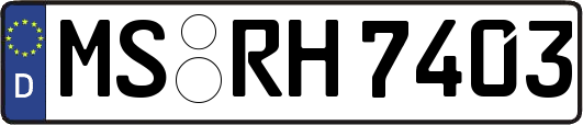 MS-RH7403