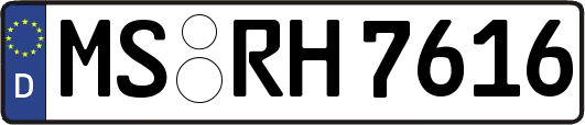 MS-RH7616