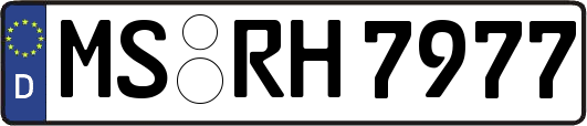 MS-RH7977