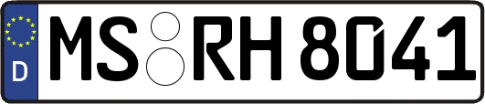 MS-RH8041