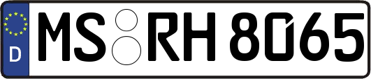 MS-RH8065