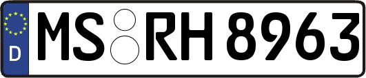 MS-RH8963