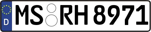 MS-RH8971