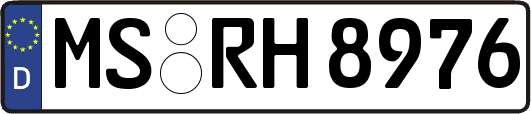 MS-RH8976