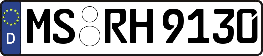 MS-RH9130