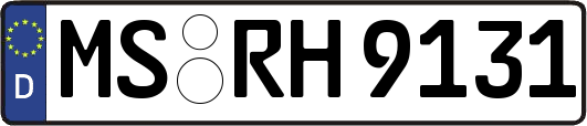 MS-RH9131