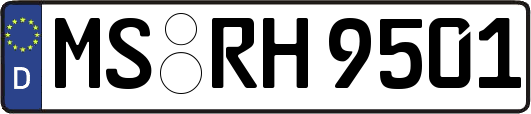 MS-RH9501