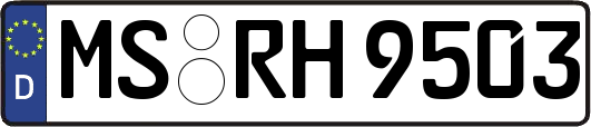 MS-RH9503
