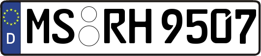 MS-RH9507
