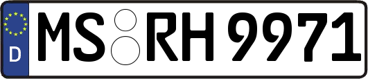 MS-RH9971