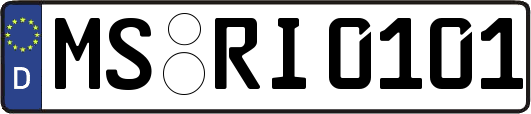 MS-RI0101
