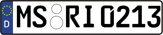 MS-RI0213
