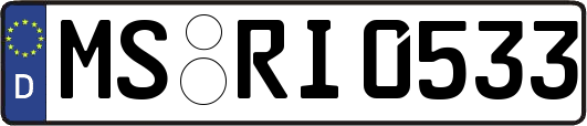 MS-RI0533
