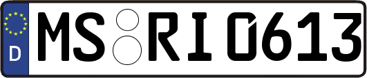 MS-RI0613