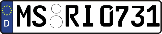 MS-RI0731