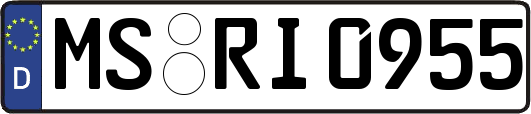 MS-RI0955