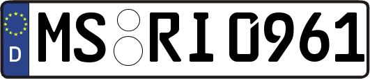 MS-RI0961