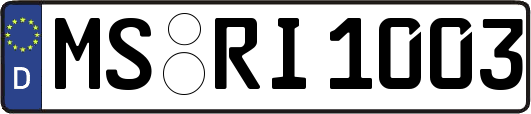 MS-RI1003