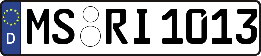 MS-RI1013