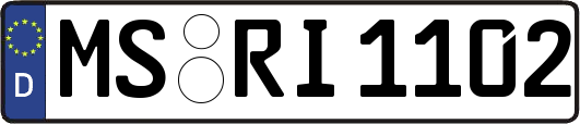 MS-RI1102