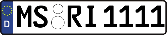 MS-RI1111