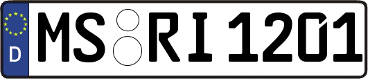 MS-RI1201