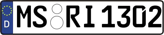 MS-RI1302