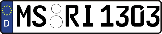 MS-RI1303