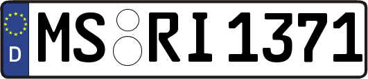 MS-RI1371