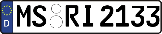 MS-RI2133