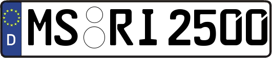 MS-RI2500