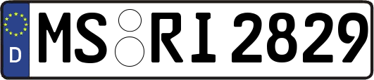 MS-RI2829