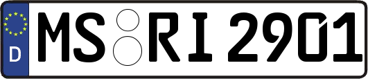 MS-RI2901