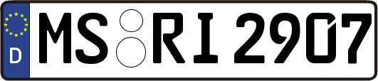 MS-RI2907