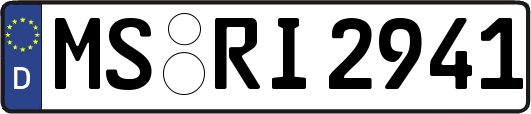 MS-RI2941