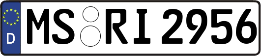 MS-RI2956